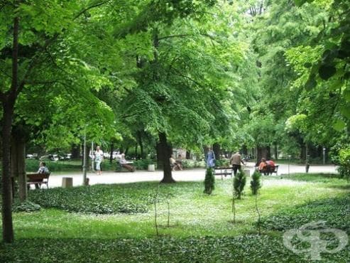В Берковица пръскат срещу кърлежи и бълхи - изображение